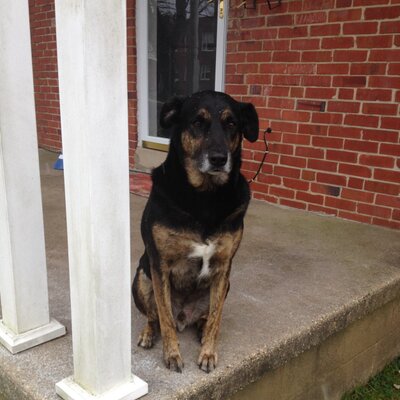 Profile Picture of Travis Kendall (@TravisKendall3) on Twitter