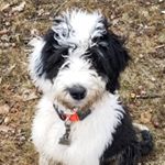 Profile Picture of Doug England (@england9645) on Instagram