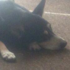 Profile Picture of Christopher Everitt (@5f3cc2508e4745c) on Twitter