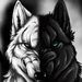 Profile Picture of Roy Eckhardt (@djinndreams) on Pinterest