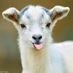 Profile Picture of Chris Rawson (@chris.rawson57) on Instagram