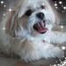 Profile Picture of Joann Bernath (@joann.bernath) on Facebook