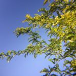 Profile Picture of Tommy Jay Paulsen (@shore_break_photography) on Instagram