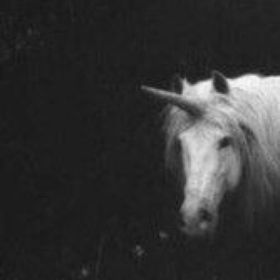 Profile Picture of Leyla Ny Perez Reyes (@leyla_ny) on Pinterest