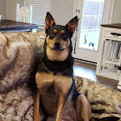 Profile Picture of Danny Crow (@addymak117) on Youtube