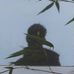 Profile Picture of Ivan Wilson (@ivan.wilson.522) on Facebook