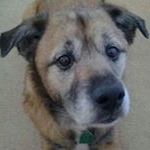 Barbara Wade Terrell - Instagram Profile Picture of Barbara Wade Terrell (@bwt142002) on Instagram