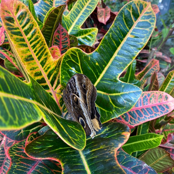 Profile Picture of Katelyn Cummings (@katelyncummi986) on Poshmark