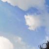 Profile Picture of Andrés Merlo (@@andrew_merlo) on Tiktok