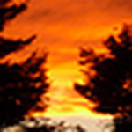 Profile Picture of Kyle Nickerson (@kylewnick) on Flickr