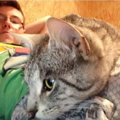 Profile Picture of Christopher Leetz (@mainz0519721) on Twitter