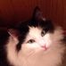 Profile Picture of Carrol Read (@Carrol-Read) on Facebook
