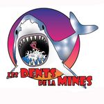 Profile Picture of Les Dents de la Mines 🏄🏽‍♂️ (@surf_mines_nancy) on Instagram