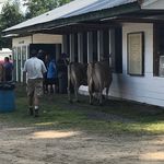 Profile Picture of James Peppard (@madhater522018) on Instagram