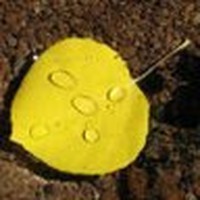 Profile Picture of Randi Snead (@randi-snead) on Quora