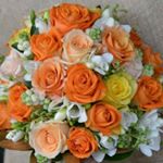 Profile Picture of Jasna Pavlovic (@jasna6164) on Instagram