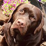 Profile Picture of Heath S. Douglas (@hdouglas13) on Instagram