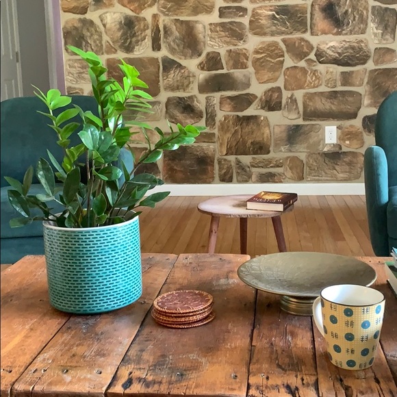 Profile Picture of Kelsey Pinelli (@kelspinells) on Poshmark