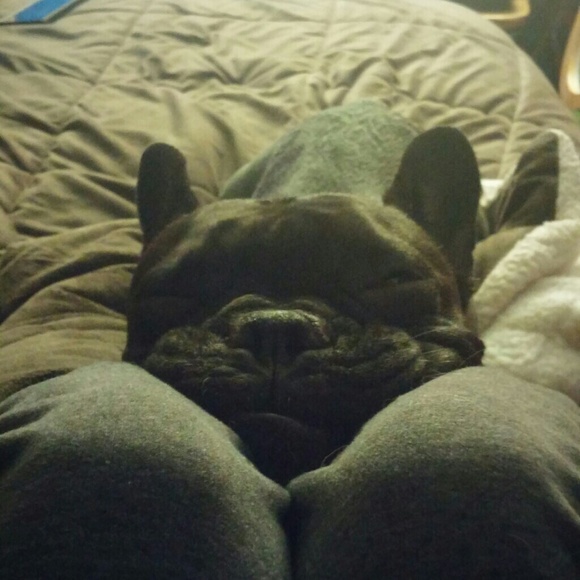 Randi Rudolph - Poshmark Profile Picture of Randi Rudolph (@windrider1334) on Poshmark