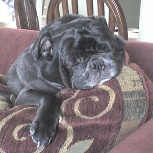 Profile Picture of Erik Hammerquist (@ehammerquist) on Myspace