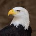Profile Picture of Patrick Sherrill (@patrick.sherrill.7) on Facebook