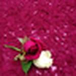 Profile Picture of 3v0m (@3v0m) on Flickr