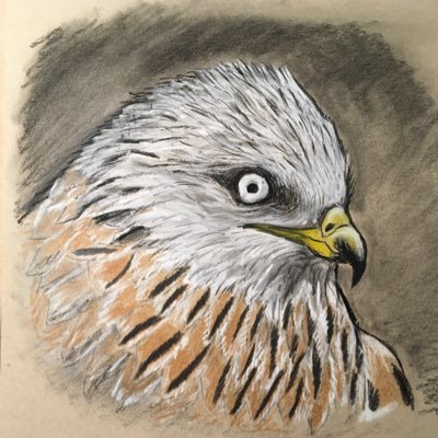 Profile Picture of Alastair Steele (@SteeleAlastair) on Twitter