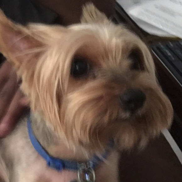 Profile Picture of Jennifer Belvin (@jenny610) on Poshmark