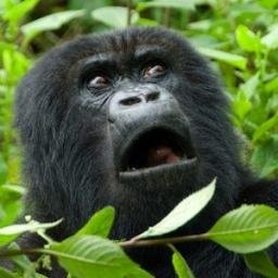 Profile Picture of Jeff Fothergill (@jeff_fothergill) on Twitter