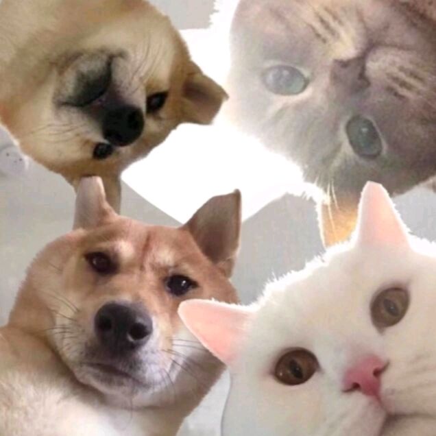 Profile Picture of Hazel (@hazelhannnn) on Tiktok