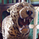 Profile Picture of Rajesh Ravindran (@bridgeland) on Flickr