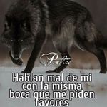 Profile Picture of Juan Verdin (@juan.verdin.50) on Instagram