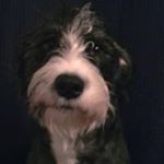 Profile Picture of Michael Longton (@longton.michael) on Instagram