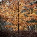 Profile Picture of Leighton Brant (@lpbrant) on Instagram