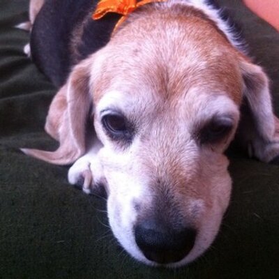 Profile Picture of Yolanda Cid (@yolanda_cid) on Twitter