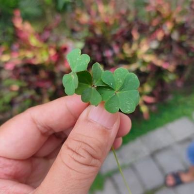Profile Picture of Joyce Hsu (@JoyceHs11928144) on Twitter