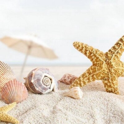 Profile Picture of Carly Scherer (@Carly13579) on Twitter