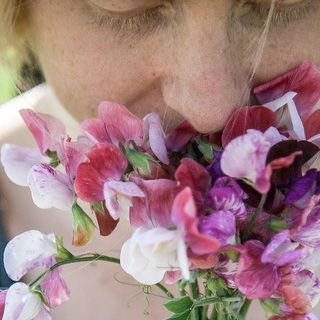 Profile Picture of Petra PageMann (@petra.pagemann) on Facebook