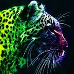 Profile Picture of Jerwayne Daninja (@jervert_xplicit) on Instagram