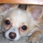 Profile Picture of Deborah Wilson Stewart (@dsnana55) on Instagram