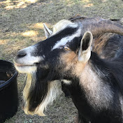 Profile Picture of Jason Hartmann (@jasonhartmann419) on Youtube