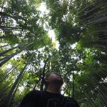 Profile Picture of Hendrix (@de.leonking) on Instagram