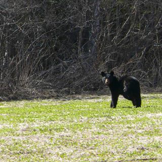 Profile Picture of Jr Howe (@Jr-Howe) on Facebook