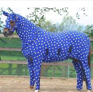 Profile Picture of Eva Picazo (@Eva-Picazo) on Facebook