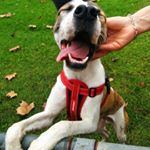 Profile Picture of Jeffrey Oliver (@the_jeffrey_oliver_tales) on Instagram