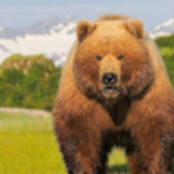 Profile Picture of Felix Anderson (@felixboi444) on Poshmark