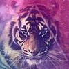 Profile Picture of Bryanna Corriveau (@@bryannacorriveau) on Tiktok