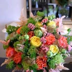 Profile Picture of Monika Achen (@Monika-Achen) on Facebook