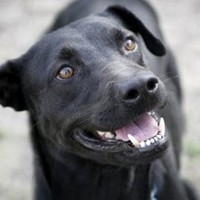 Profile Picture of Jerry Pool (@jerry-pool-3) on Quora