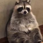 Profile Picture of Evan Stringer (@confusedspace74) on Instagram